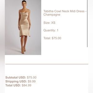 New with tags. Mesh kit dress